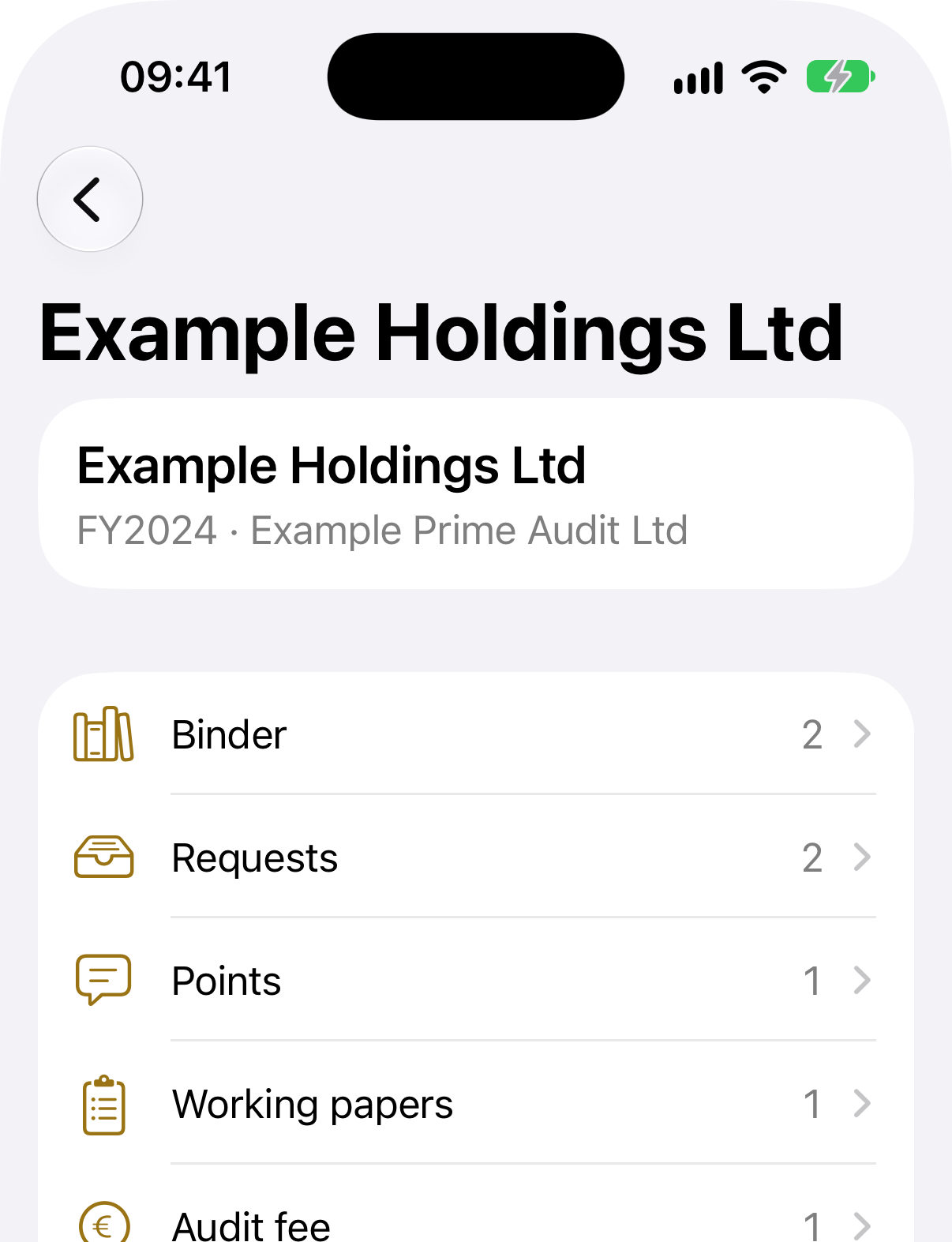 Chrysos Professional on iPhone: an audit engagement for a sample company with its binder, requests, points, working papers, audit fee and hand-back.