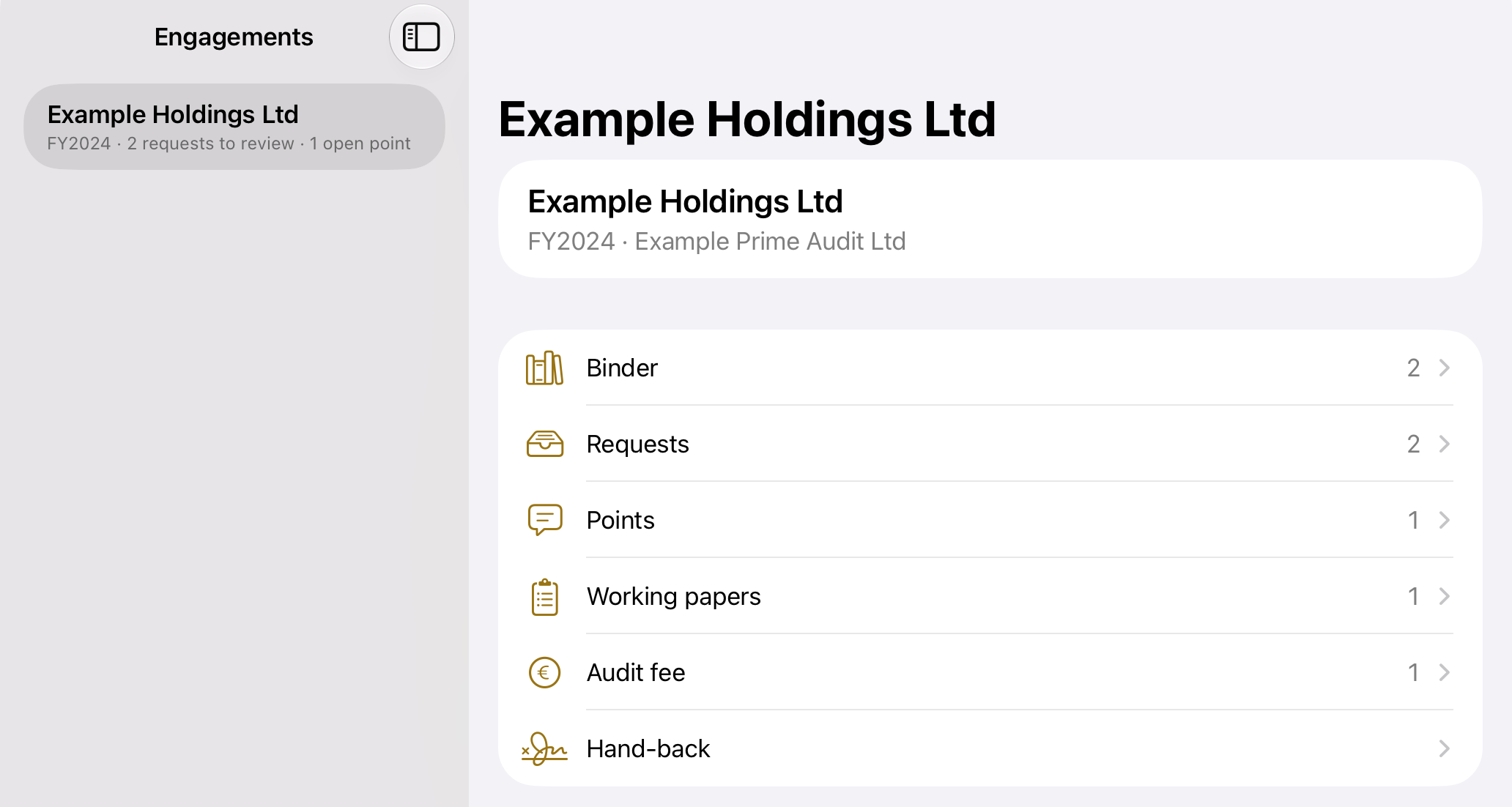 Chrysos Professional on iPad: the engagements list in a sidebar beside an audit engagement for a sample company, with binder, requests, points, working papers, audit fee and hand-back.